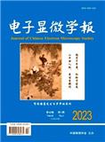 电子显微学报