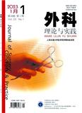 外科理论与实践