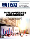 审计观察（原：人民公仆）