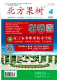 北方果树