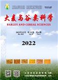 大麦与谷类科学 
