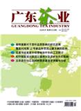 广东茶业
