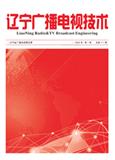 辽宁广播电视技术（内刊）